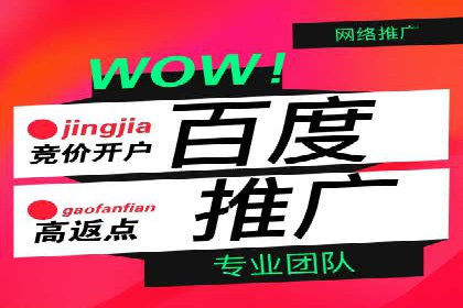 深度解析：百度推广的五大成功案例